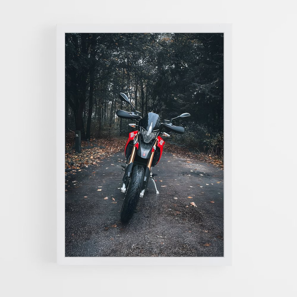 Poster Dorsoduro captivant – affiche Aprilia (vue 3)